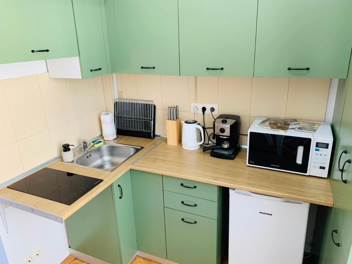 Central Cozy Apartment 克卢日-纳波卡 外观 照片