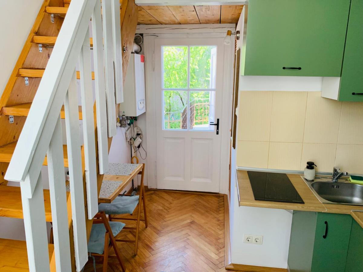 Central Cozy Apartment 克卢日-纳波卡 外观 照片