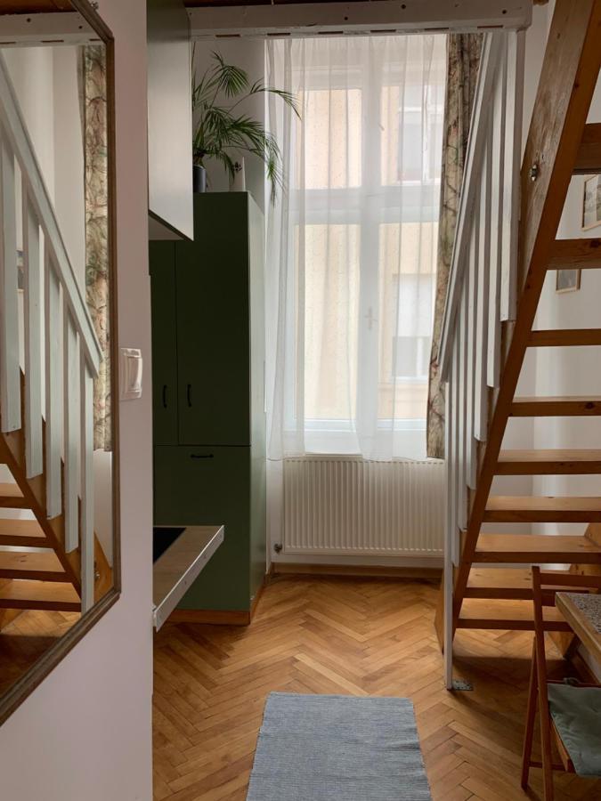 Central Cozy Apartment 克卢日-纳波卡 外观 照片